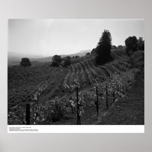 Poster Détail, Vignobles Draper près de St. Helena, 1966 (Devant)
