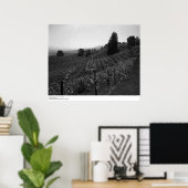 Poster Détail, Vignobles Draper près de St. Helena, 1966 (Bureau à domicile)