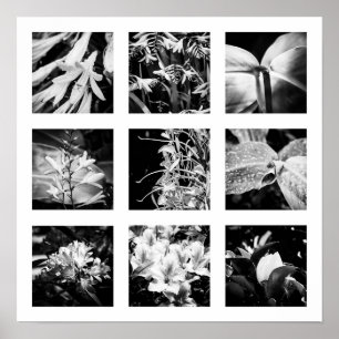 Poster Détails de la série Nature - Fleurs 2