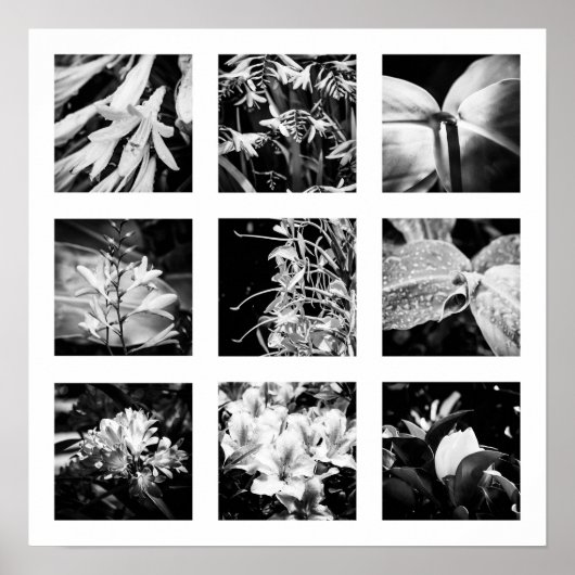 Poster Détails de la série Nature - Fleurs 2 (Devant)