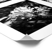 Poster Détails de la série Nature - Fleurs 2 (Coin)