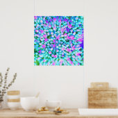 Poster Détails des fleurs de sédum Succulent bleu et rose (Cuisine)