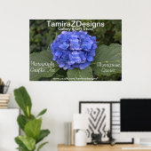 Poster Détails du nom de l'entreprise Blue Hydrangea (Bureau à domicile)