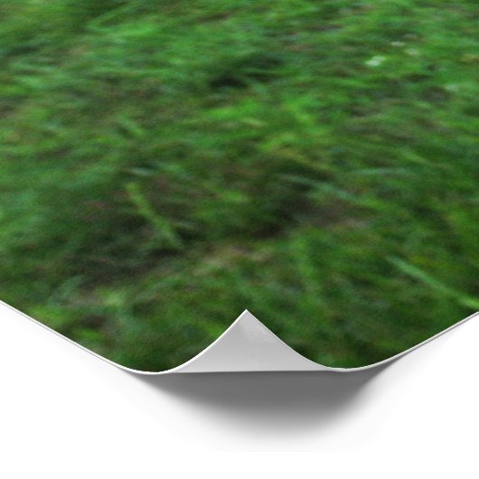 Poster d'été Aria (Coin)