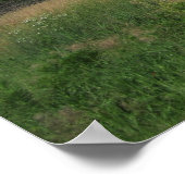 Poster d'été Iowa Prairie (Coin)