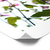 Poster d'été sur les fleurs d'arbre (Coin)