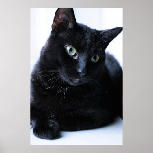 Poster Détente (Devant)