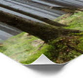 Poster Détente Forêt D'Automne (Coin)