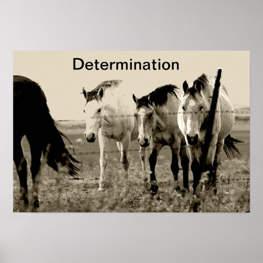 Poster Détermination (Devant)
