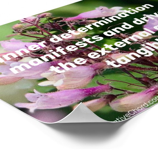 Poster Détermination Intérieure/Floraison Violette. Affic (Coin)