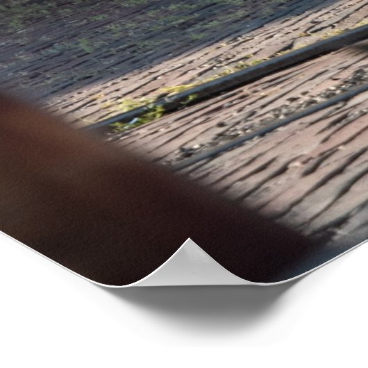 Poster Detomaso Pantera (Coin)