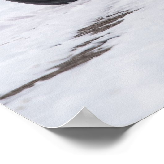 Poster Detomaso Pantera (Coin)