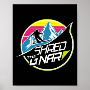 Poster Détruire le Gnar Ski Freestyle Diamant Hiver Spo