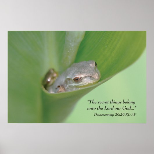 Poster Deutéronome 29:29 Écriture Imprimer (Devant)