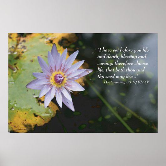 Poster Deutéronome 30:19 Écriture Imprimer (Devant)