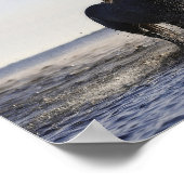 Poster Deutéronome 31:6 Soyez fort et courageux, Cheval (Coin)