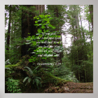 Poster Deutéronome 4:29 ~ Chercher le Seigneur