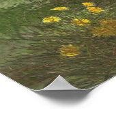 Poster Deutsch Drahthaar (Coin)