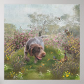 Poster Deutsch Drahthaar (Devant)