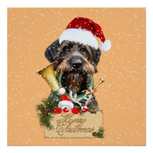 Poster Deutsch Drahthaar, Joyeux Noël ! Bouton magnétique