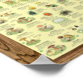 Poster " Deutschland : 2020 - Das große PILZe Bestimmungs (Coin)