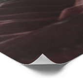 Poster Deux (Coin)