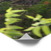 Poster Deux aigrettes dans l'arbre (Coin)