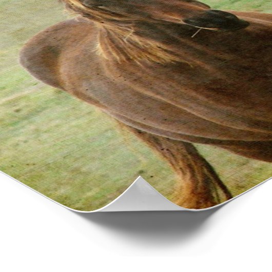 Poster Deux amis à cheval (Coin)