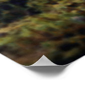 Poster Deux arbres (Coin)