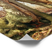 Poster Deux Arbres, Cultivés Ensemble (Coin)