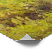 Poster Deux beaux oiseaux (Coin)