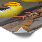 Poster Deux bébés oiseaux assis sur une branche (Coin)