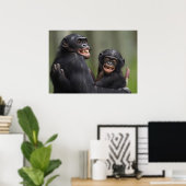 Poster Deux bonobos souriants (Bureau à domicile)