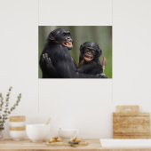 Poster Deux bonobos souriants (Cuisine)