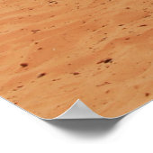 POSTER DEUX CAMEAUX SITUÉS SUR SABLE BROWN PRÈS DES MONTA (Coin)