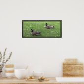 Poster Deux canards sauvages sur l'herbe verte. Animal pa (Cuisine)