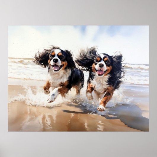 Poster Deux Cavalier King Charles Spaniels (Devant)