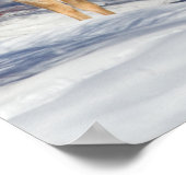 Poster Deux cerfs à queue blanche en hiver (Coin)