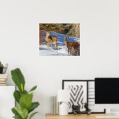 Poster Deux cerfs à queue blanche en hiver (Bureau à domicile)