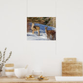Poster Deux cerfs à queue blanche en hiver (Cuisine)