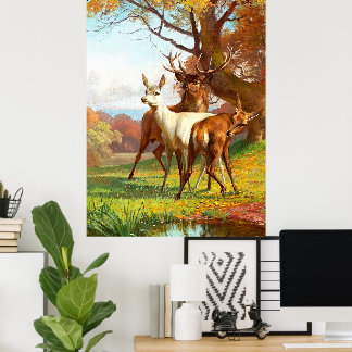 Poster Deux cerfs rouges et blancs dans la forêt
