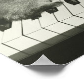 Poster Deux chaton jouant sur le clavier du piano, (B&W) (Coin)