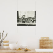 Poster Deux chaton jouant sur le clavier du piano, (B&W) (Cuisine)