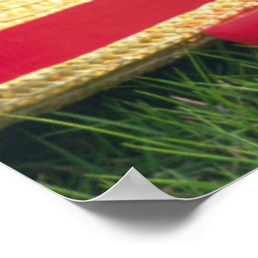 Poster Deux Chatons Assis Sur Une Couverture Rouge (Coin)