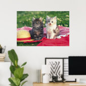 Poster Deux Chatons Assis Sur Une Couverture Rouge (Bureau à domicile)