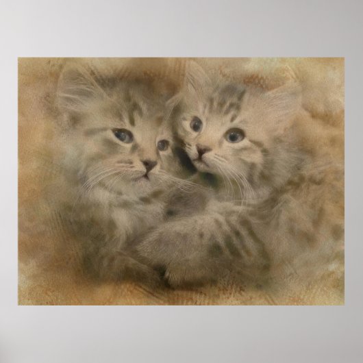 Poster Deux Chatons Gris Cute En Aquarelle (Devant)
