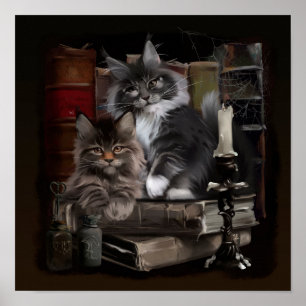 Poster Deux chatons Maine Coon en furie