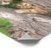 Poster Deux chatons sur un arbre (Coin)