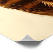 Poster Deux chats adorables s'étreignant (Coin)