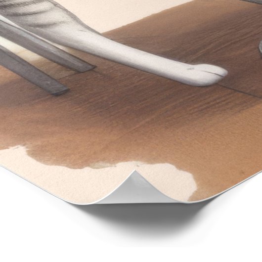 Poster Deux chats mignons (Coin)